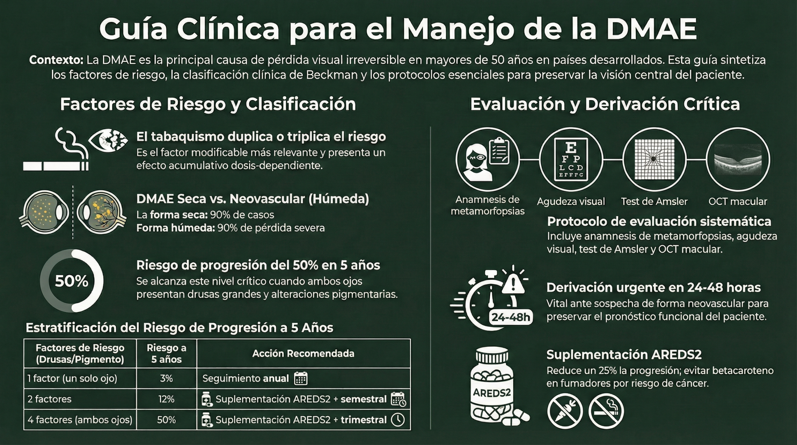 INFOGRAFÍA DMAE PROFESIONALES rev