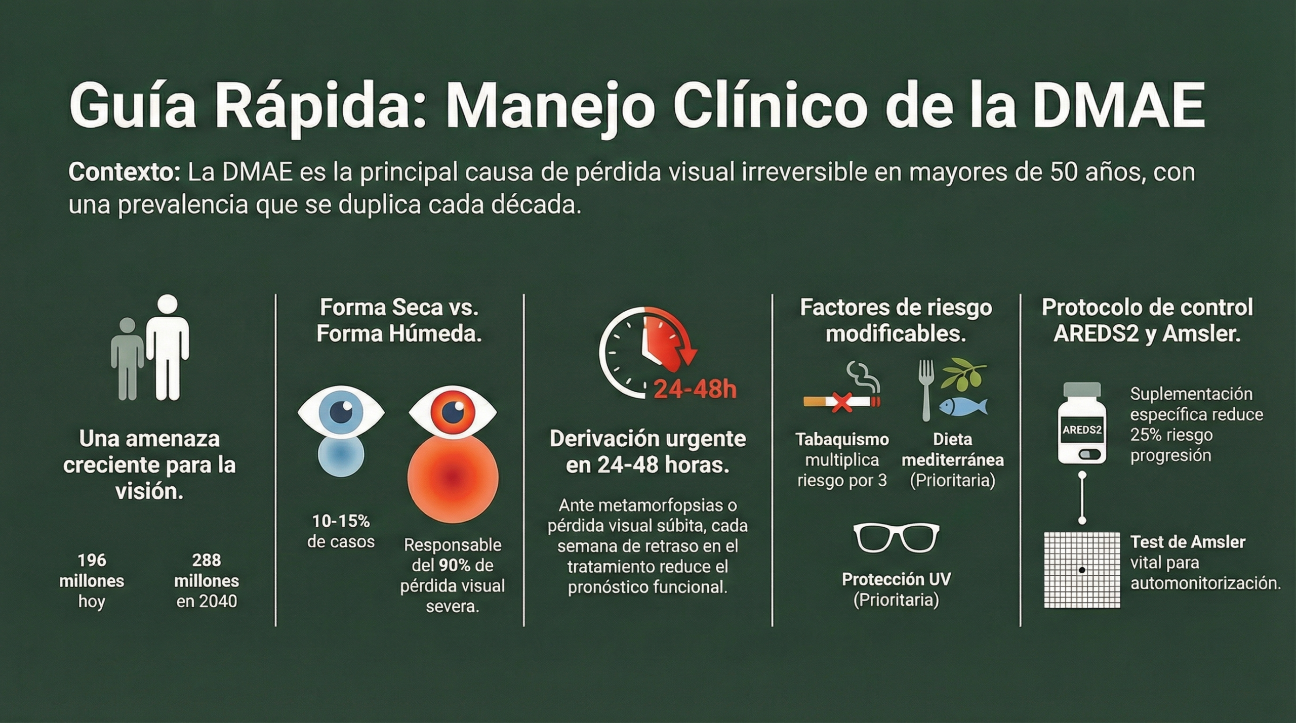 INFOGRAFÍA SIMPLE DMAE PROFESIONALES rev